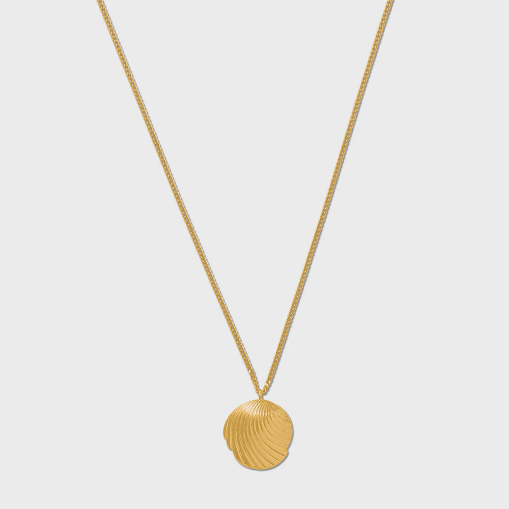 Scallop Coin Necklace