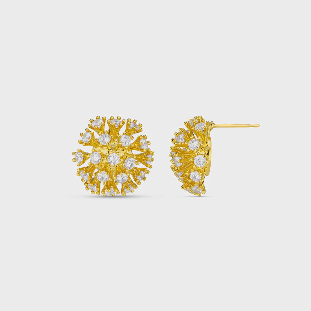 Statement Crystal Burst Stud Earrings