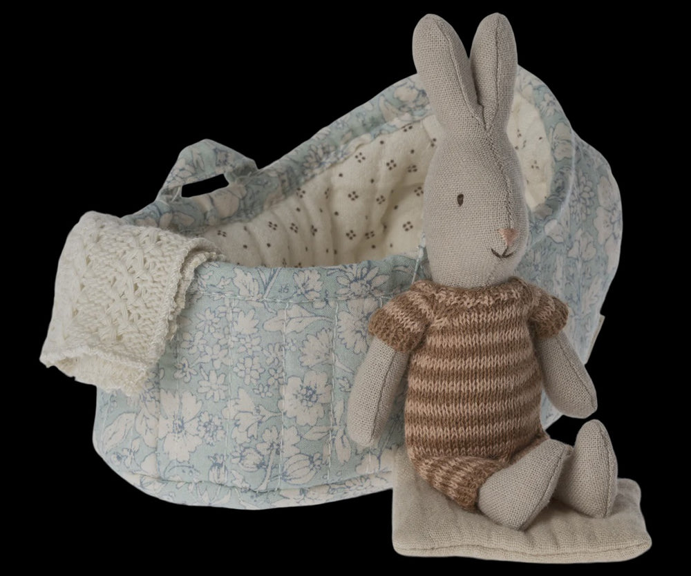 Rabbit in carry cot