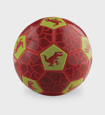 Size 3 Soccer Ball/Dinosaur