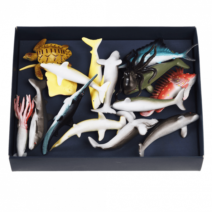 Assorted Ocean Animals (Box of 16)