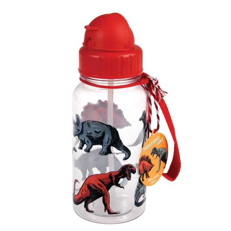 Dinosaur Water Bottle
