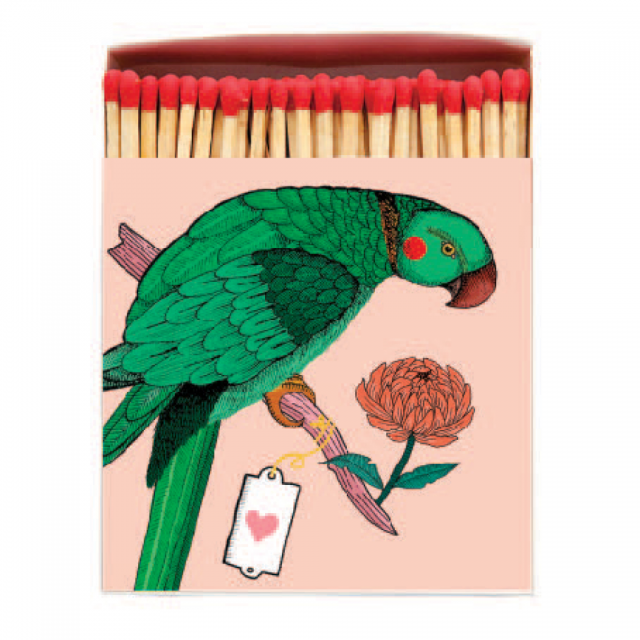 Ariane Parrot Matchbox