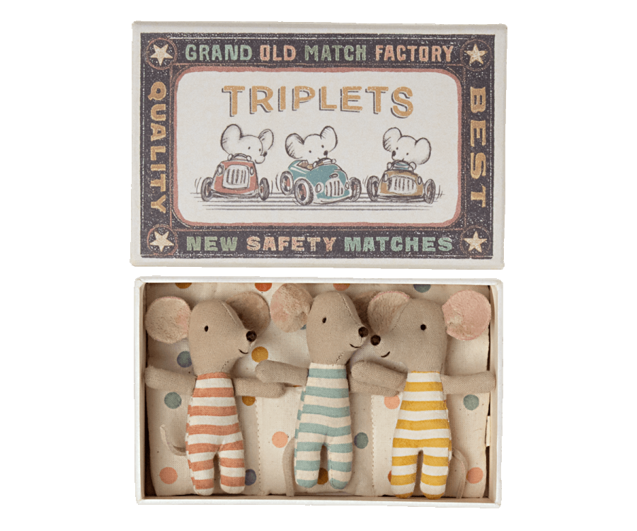 Triplets, Baby mice in matchbox